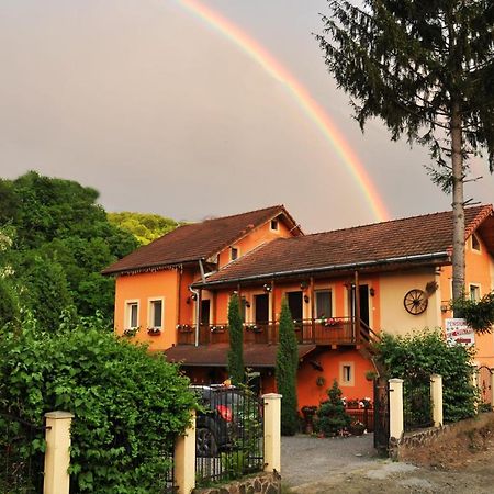 Pensiunea Ana Cristina Sighisoara Exterior photo