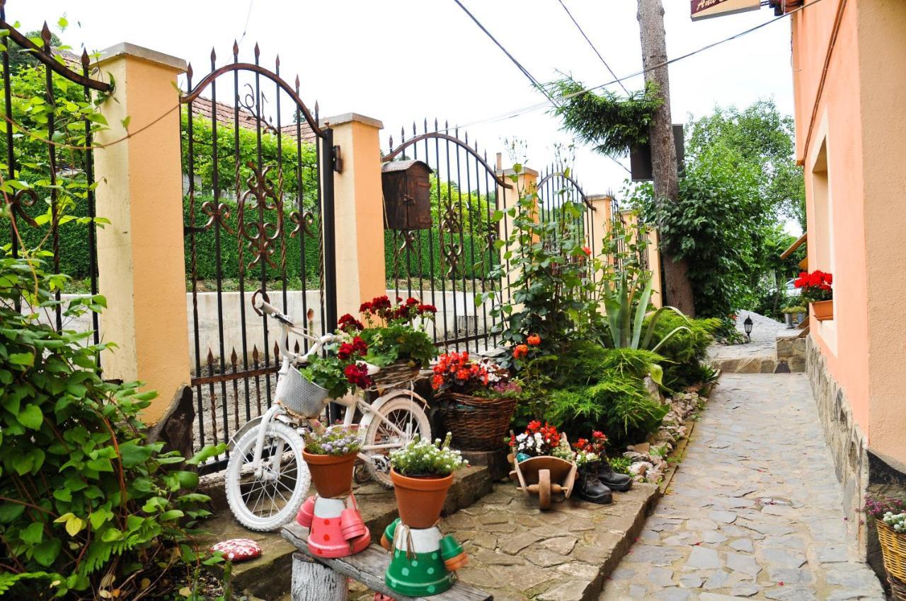 Pensiunea Ana Cristina Sighisoara Exterior photo