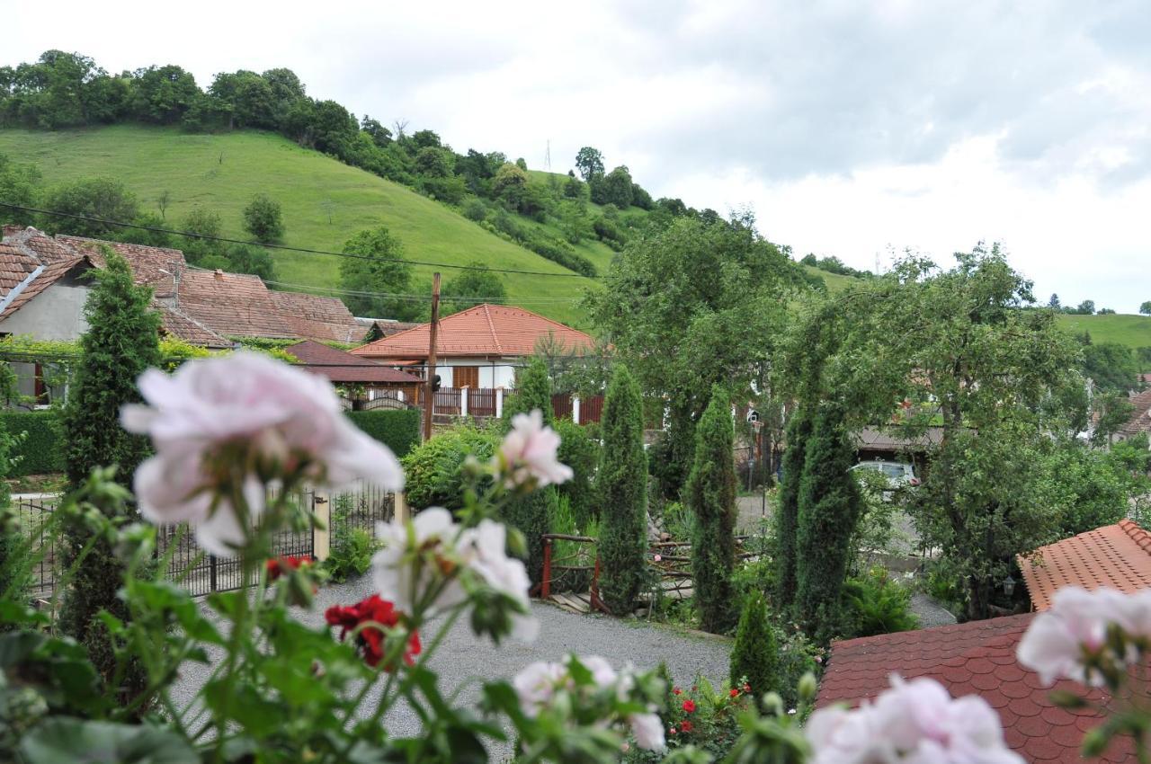 Pensiunea Ana Cristina Sighisoara Exterior photo