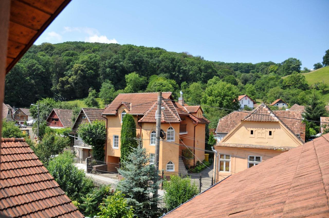 Pensiunea Ana Cristina Sighisoara Exterior photo