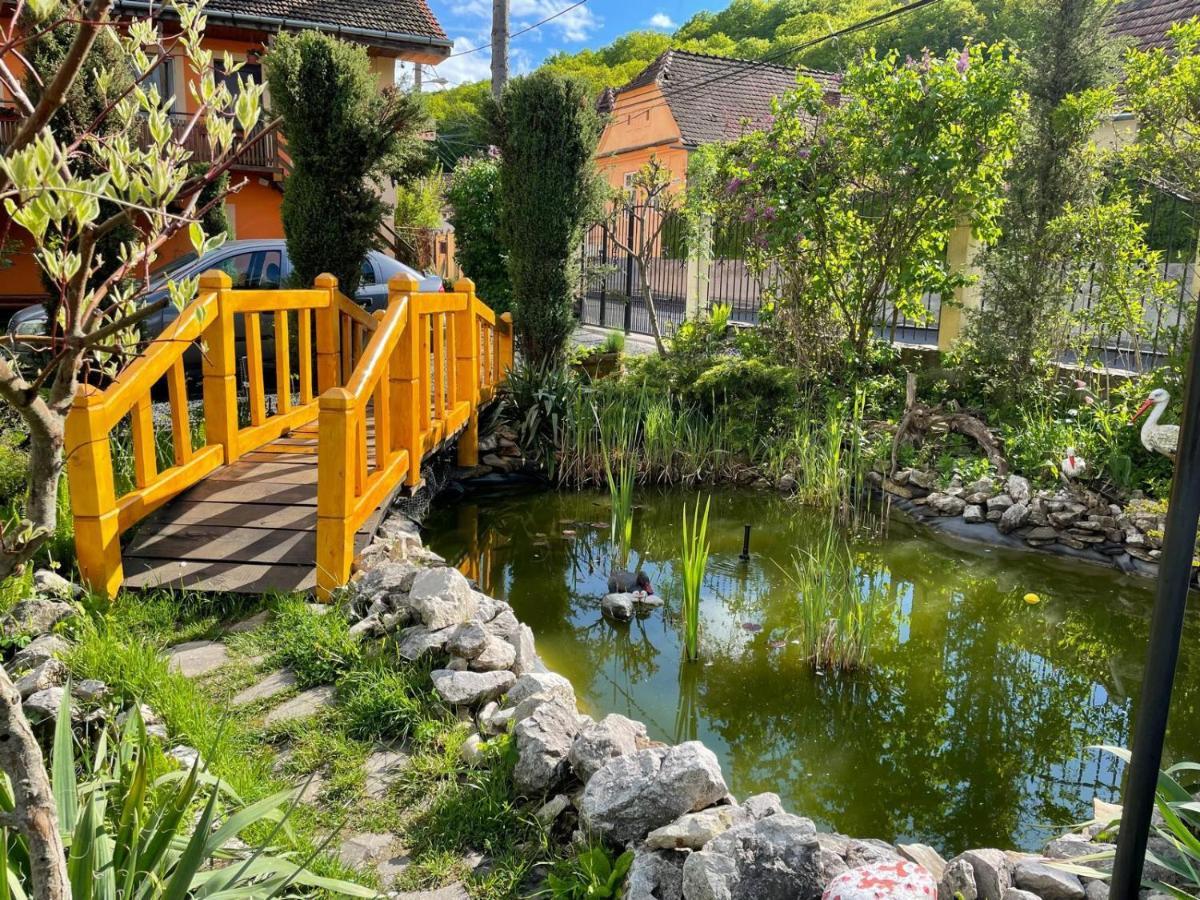 Pensiunea Ana Cristina Sighisoara Exterior photo